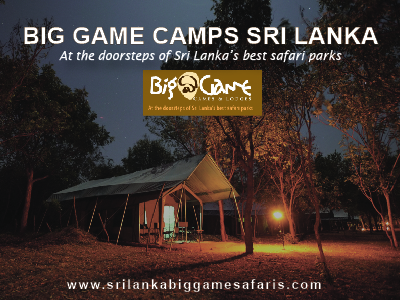 Big game camps in Sri Lanka 