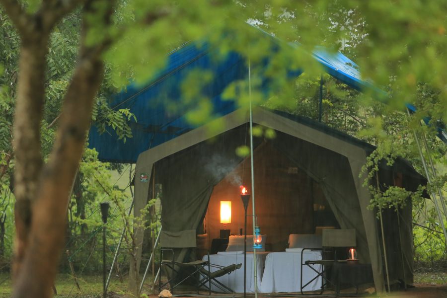 Big game TENTED camps at Udawalawe national park 