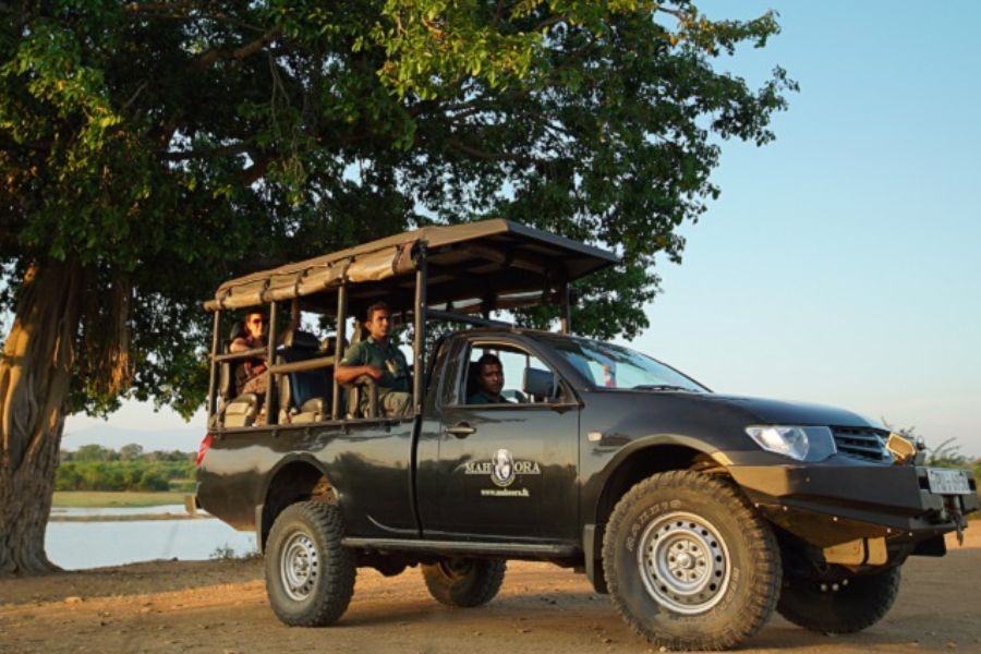 Mahoora jeeps at Wildlife tours