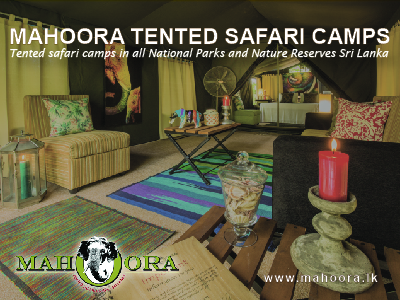 Mahoora TENTED safari camps in Sri Lanka 