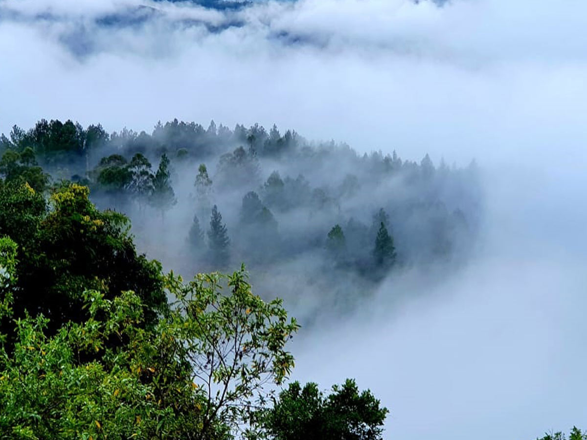 Chasing Clouds: Cloud Safari Adventures in Belihuloya