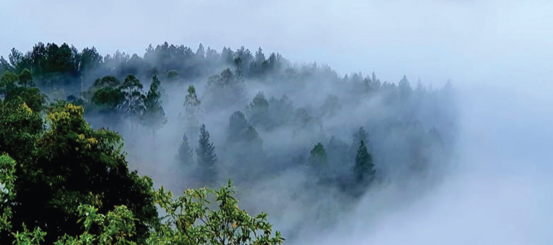 Chasing Clouds: Cloud Safari Adventures in Belihuloya