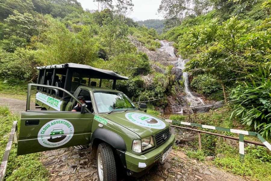 cloud safaris